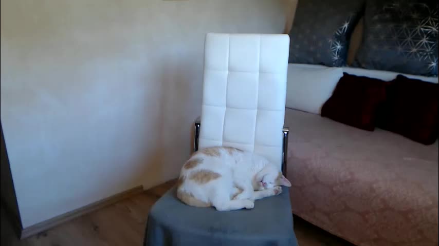 kathylovexxx Live Sex December 13, 2025