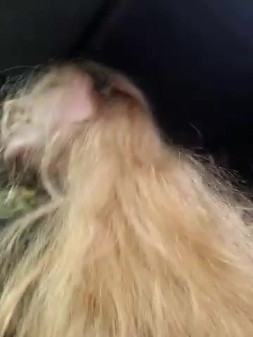 LianaJu Live Sex December 13, 2025