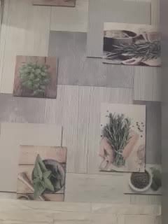 Anesteishen Live Sex December 18, 2025