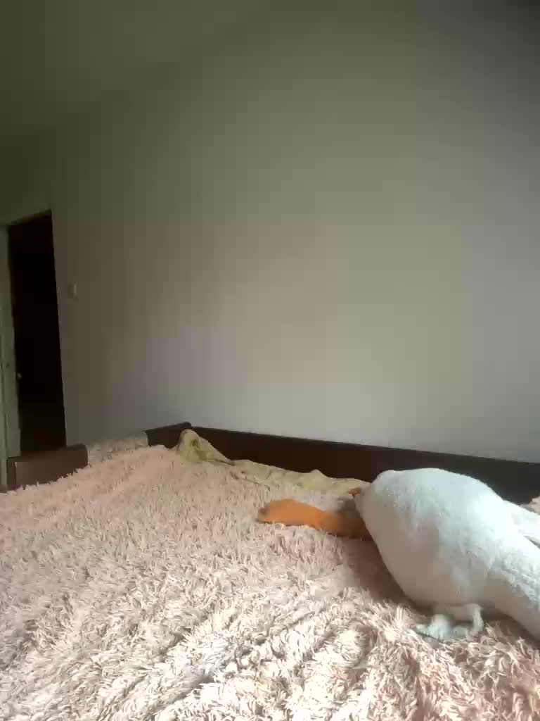 Xyligana Live Sex December 17, 2025