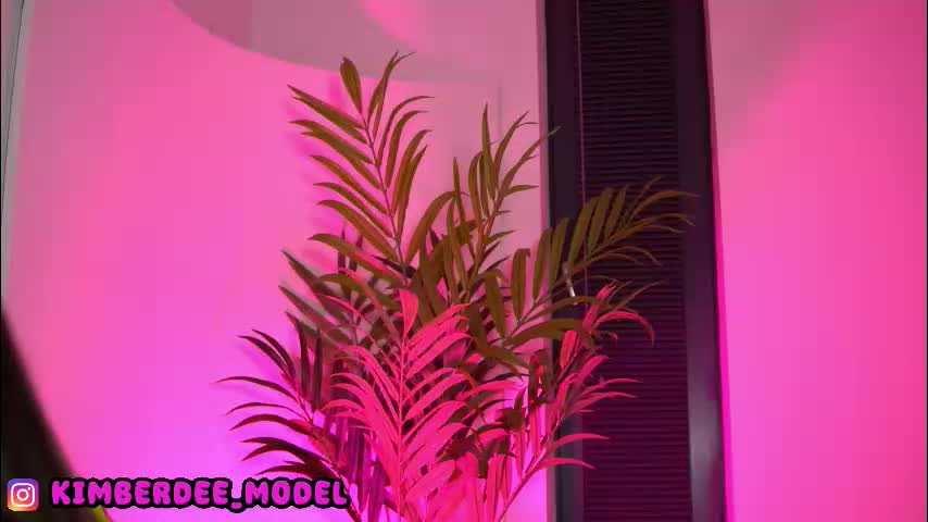 kimberdeee Live Sex October 7, 2025