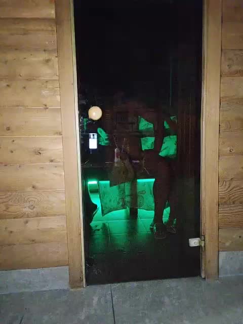 WILD-love-WILD Live Sex December 13, 2025