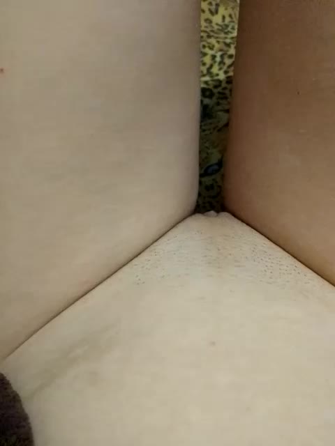 KIROCCHKA_BABY Live Sex December 13, 2025