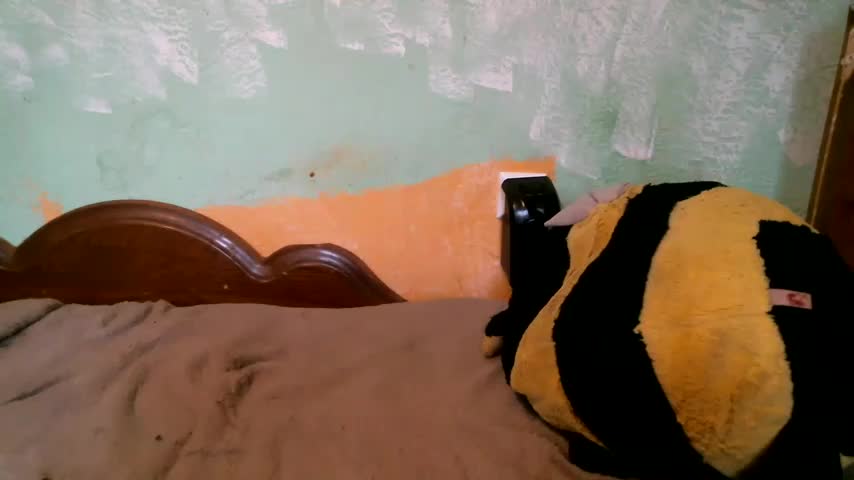 DennisXCaroll Live Sex 2025.10.07