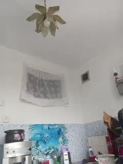 NeZabudka- Live Sex December 14, 2025