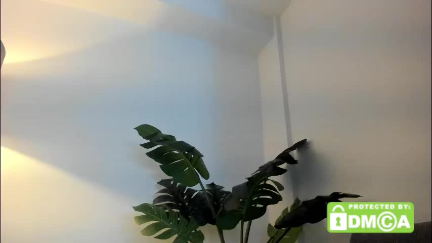ashllovee_ Live Sex December 13, 2025
