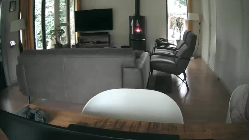 woodwurm Live Sex December 19, 2025