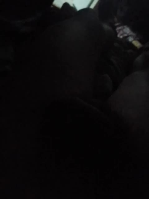 Fuffocka Live Sex 2025.10.08