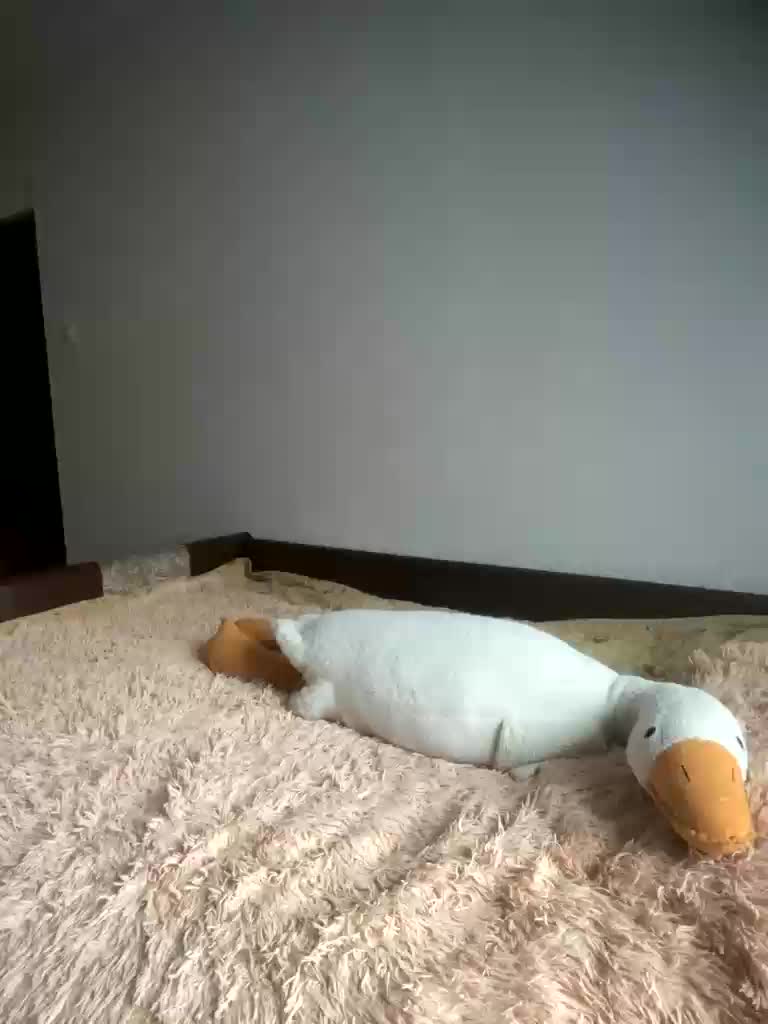 Xyligana Live Sex December 17, 2025