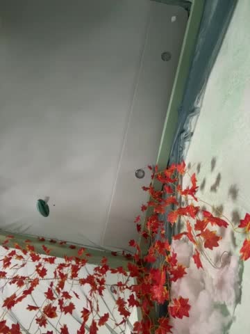 -Windranger- Live Sex December 17, 2025