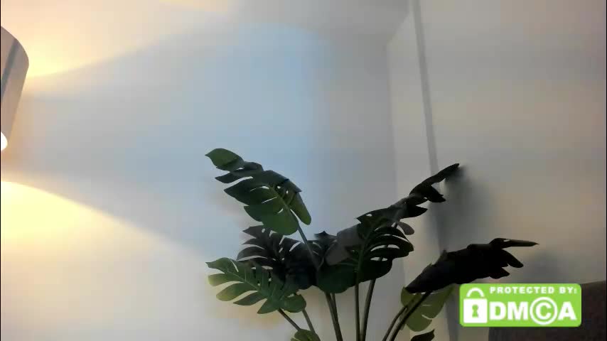 ashllovee_ Live Sex December 13, 2025