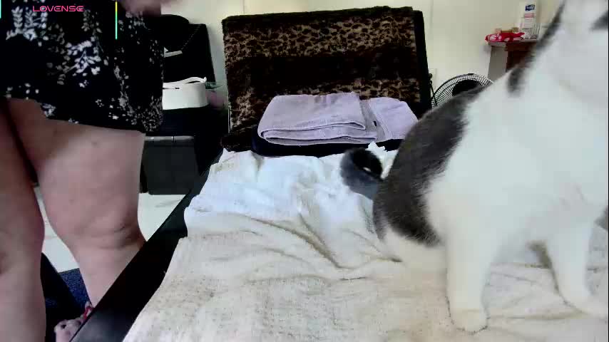 jjjust4fun1985 Live Sex December 13, 2025