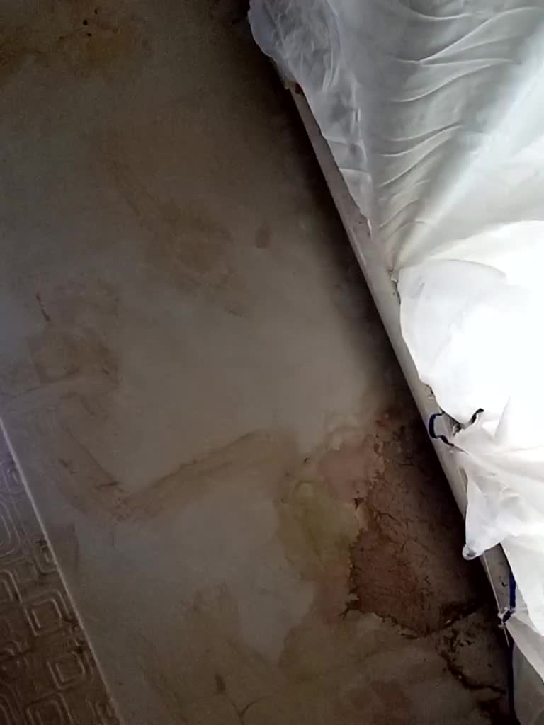 ericakat Live Sex October 9, 2025