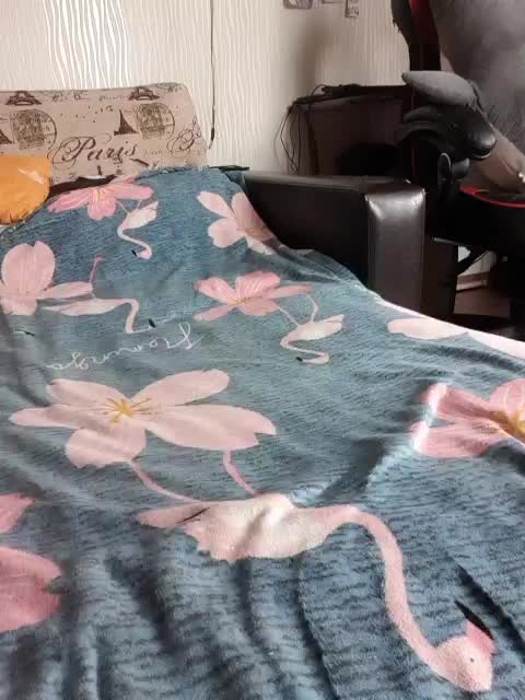 GospohaXXX Live Sex December 19, 2025