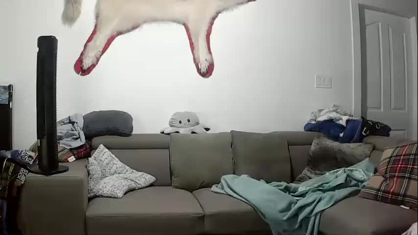 lolalixx6969 Live Sex October 9, 2025