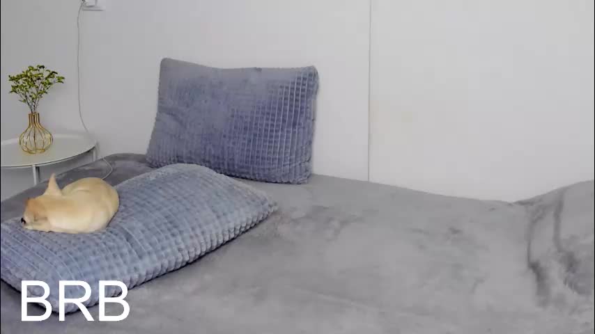 selenarousey Live Sex December 13, 2025