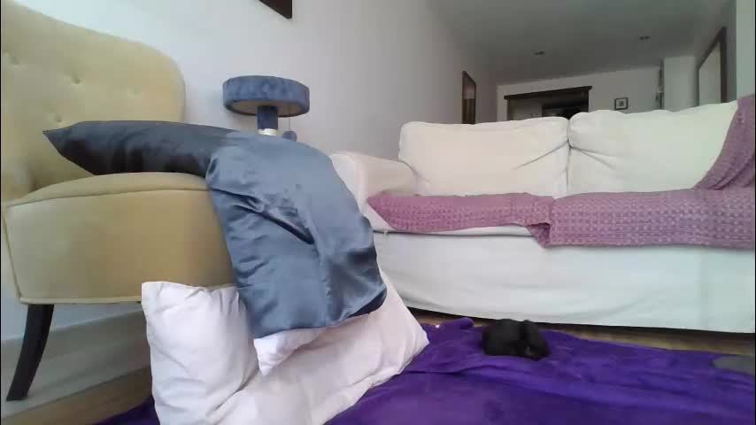 palaustudio Live Sex October 10, 2025