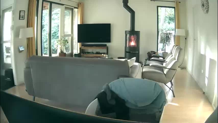 woodwurm Live Sex December 19, 2025