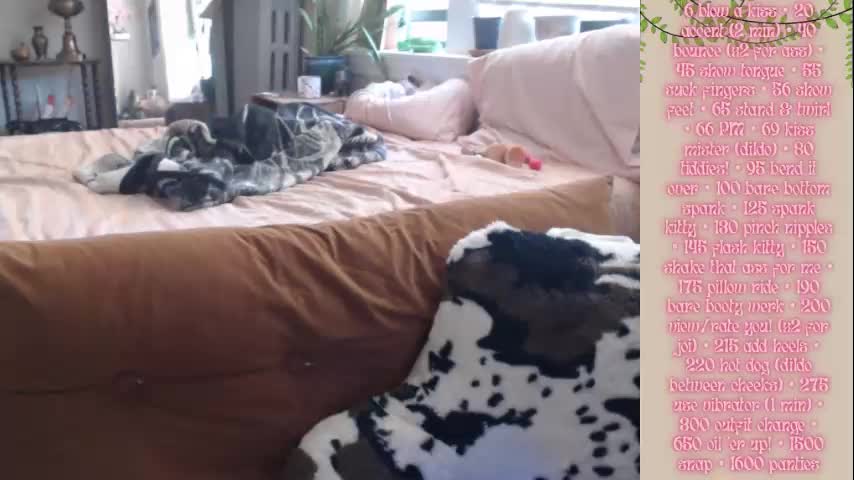 girlnumbersix Live Sex December 13, 2025