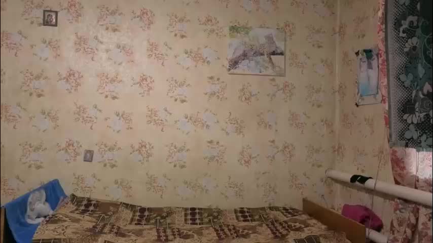 kamisalling Live Sex December 14, 2025