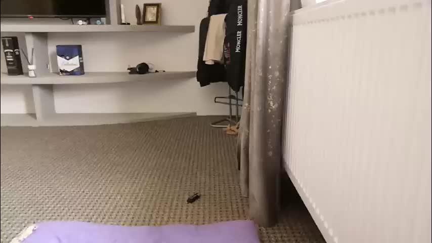 crazybrenda89 Live Sex December 14, 2025