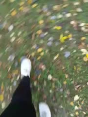 EVIL_TITS Live Sex December 15, 2025