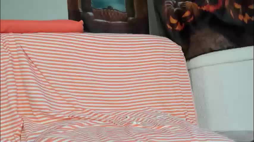 lola_belgium Live Sex December 13, 2025