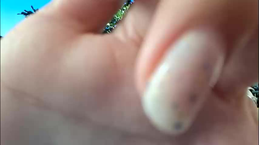 sexy07sexy Live Sex December 20, 2025