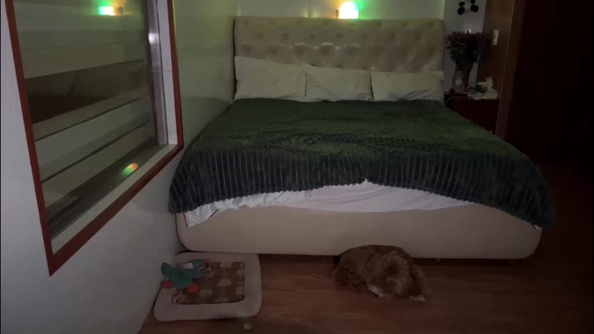 mia_floo Live Sex December 12, 2025