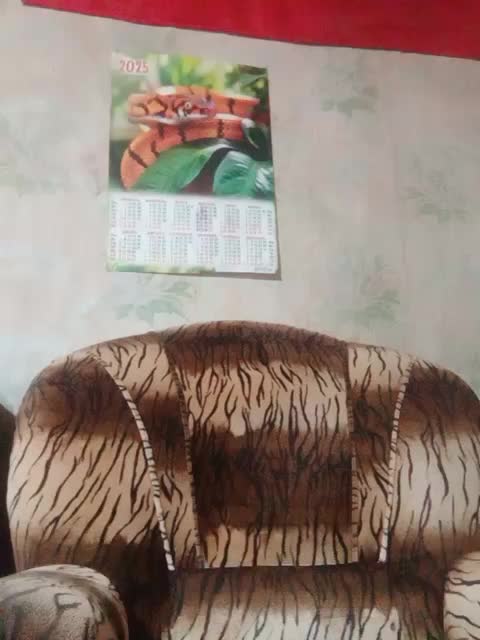 Calibriya Live Sex December 17, 2025