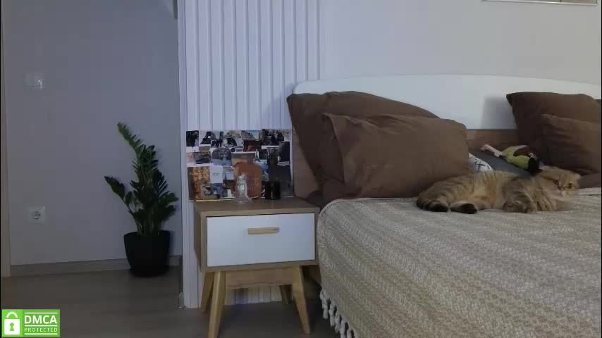 evi_woow Live Sex October 11, 2025