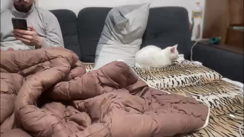 rosea_champagne Live Sex December 15, 2025