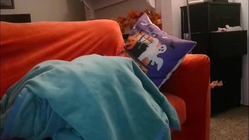 mastersquirter98 Live Sex December 13, 2025