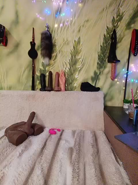 DianaAhTender Live Sex December 13, 2025