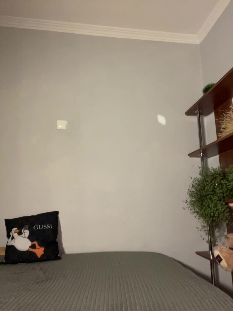 Saliss1 Live Sex December 13, 2025