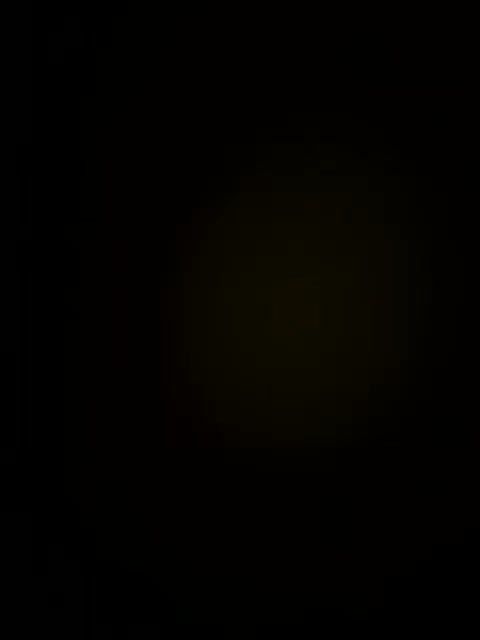 SosiscArca Live Sex October 12, 2025