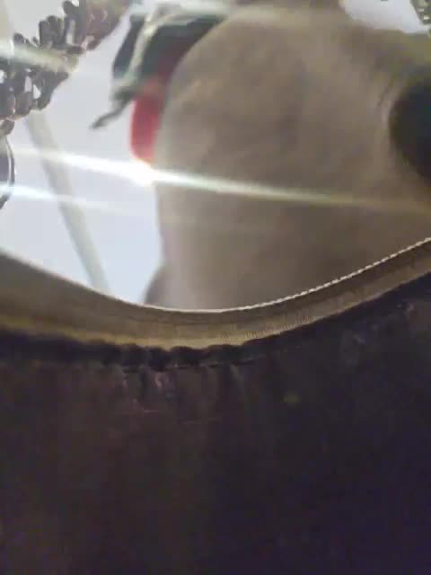 EditaMilf Live Sex 2025.10.12