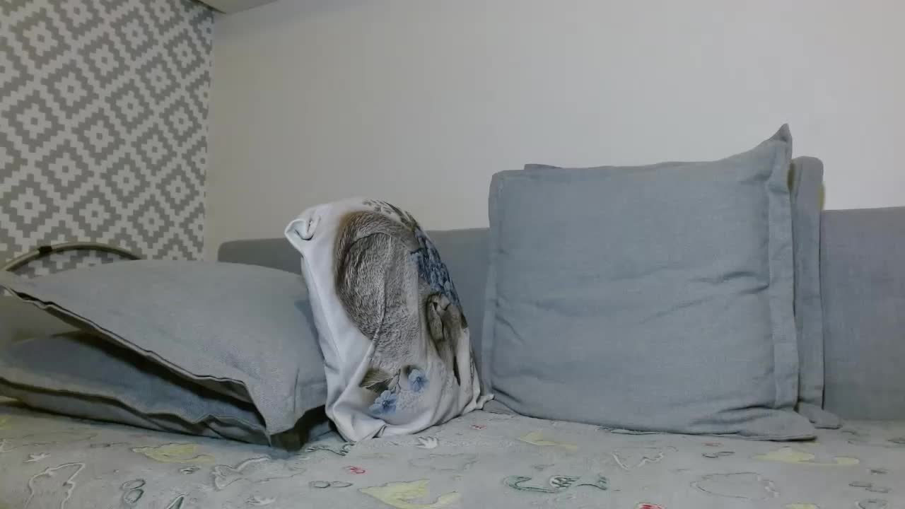 albinochka888 Live Sex December 14, 2025