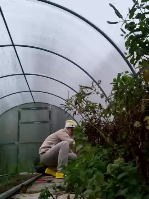 KOMCOMOLKA Live Sex December 13, 2025