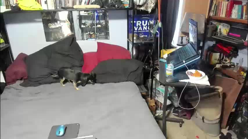 pink_black Live Sex December 18, 2025