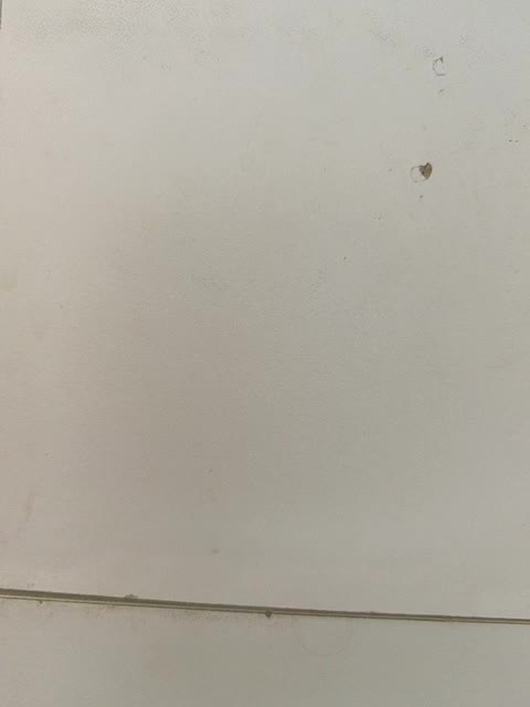 Laskikakvskaz Live Sex December 13, 2025