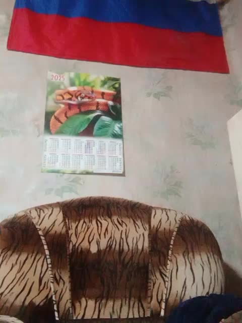 Calibriya Live Sex December 17, 2025