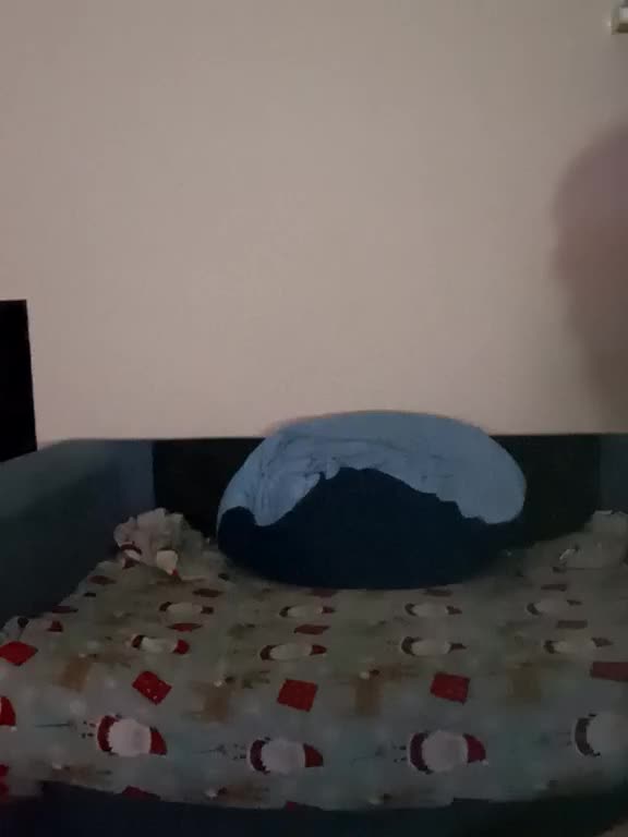 DimaSexIva Live Sex December 12, 2025