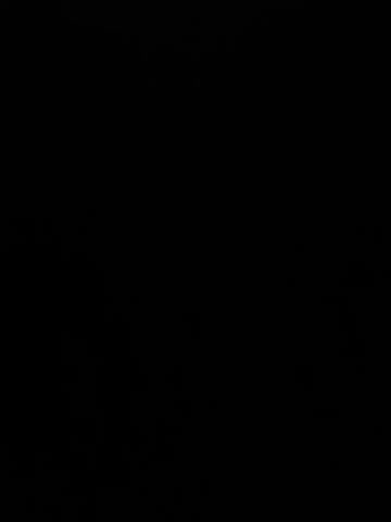 MiraReach Live Sex December 13, 2025