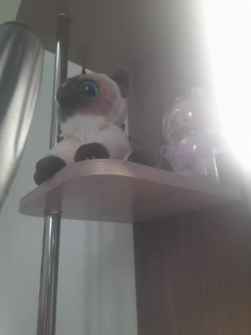 AlisaWyn Live Sex December 14, 2025