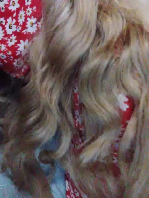 TPAXATb-B-MENU Live Sex 2025.10.14