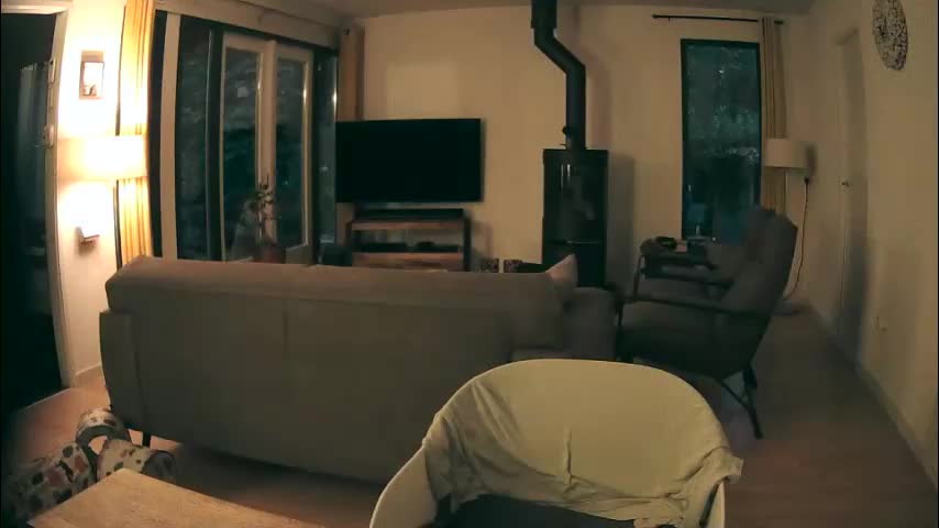 woodwurm Live Sex December 19, 2025