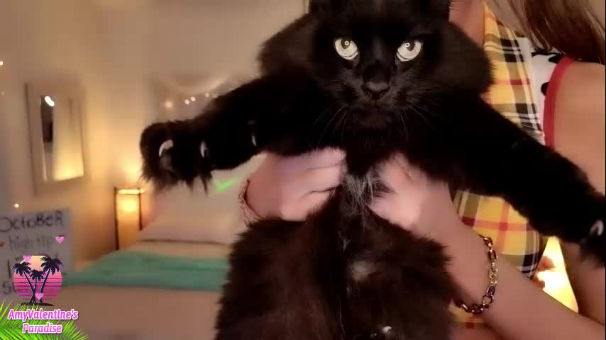 amyvalentine Live Sex December 14, 2025