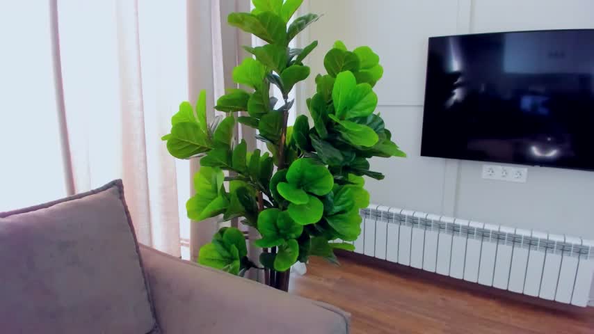 sexyangeloux Live Sex December 15, 2025