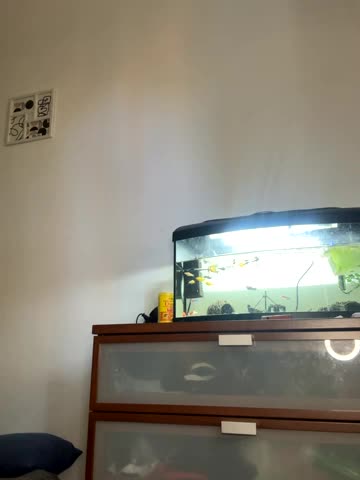 Artur_Anna Live Sex December 13, 2025